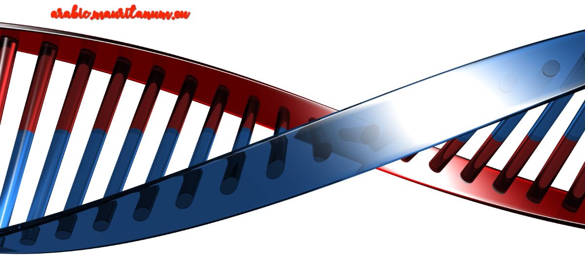 arabic.mauritanum.eu